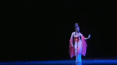 舞蹈视频 - 第九届桃李杯舞蹈