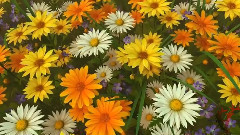 音乐短片 - Relaxing