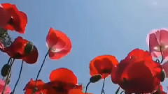 音乐短片 - 想着你的好