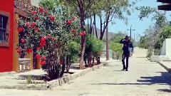 音乐短片 - Quizas, Quizas, Quizas