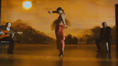 音乐短片 - 性感的佛拉门戈