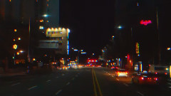 Sultan Of The Disco - Neon Light