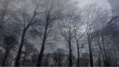 音乐短片 - Saturnus Call Of the Raven Moon 2012