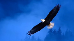 音乐短片 - Bright Colors