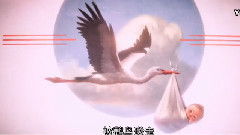 群星 - 电影<逗鸟外传>先导预告片