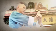 华语群星 - 少林少林