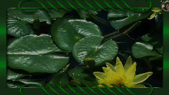 音乐短片 - Красивейшая инструментальная музыка!