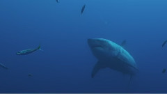 音乐短片 - Demo Reel