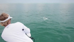 音乐短片 - Spring Is In The Air