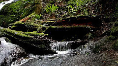 音乐短片 - Issaquah Coal Creek Fall