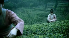 音乐短片 - 禅茶一味