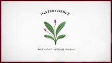 Red Velvet - WINTER GARDEN Red Velvet_SMile for U_让爸爸笑开花的方法 (BGM: Red Velvet ‘三个愿望 (Wish Tree)’)