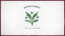 BoA - WINTER GARDEN BoA_SMile for U_让妈妈笑开花的方法 (BGM: BoA ‘Christmas Paradise’)