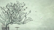 郑东河 - 郑东河 - Snow again 歌词版