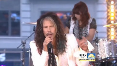 Steven Tyler - Love Is Your Name