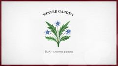 BoA - WINTER GARDEN BoA_SMile for U_让妈妈笑开花的方法 (BGM: BoA 'Christmas Paradise')