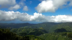 音乐短片 - Reggae