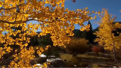 音乐短片 - Love Echo(爱的回声)