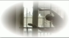 音乐短片 - 大提琴 G弦上的咏叹调(Aria sul G)