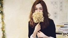 范玮琪 - 感恩节 歌词版