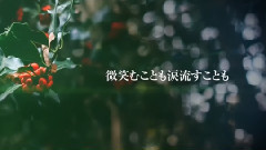 日本群星 - YOU