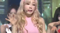Lion Heart