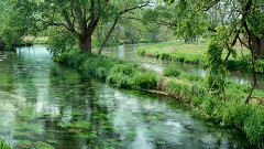 音乐短片 - 可爱小公主