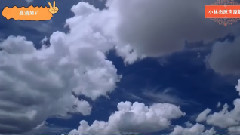 音乐短片 - 为了你我坚强的活着