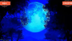 音乐短片 - 用你的肉体取暖