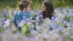 音乐短片 - 山谷