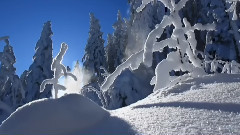 音乐短片 - 夏之雪