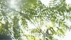 音乐短片 - 弥渡山歌