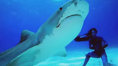 音乐短片 - Carried By the Wind