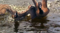 音乐短片 - 征途赞歌