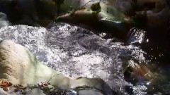 音乐短片 - 小提琴 共同度过