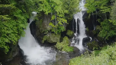 音乐短片 - The Winding Path