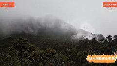 音乐短片 - 小林杰应聘演员奇遇记