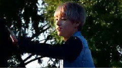 防弹少年团,V(防弹少年团),J-HOPE(防弹少年团) - 荷尔蒙战争 VHope Cut