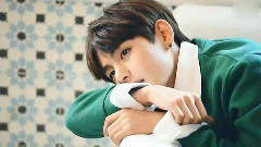 V(防弹少年团),JIMIN(防弹少年团),防弹少年团 - 防弹花园(花样男子第一部)95Line配音金泰亨庆生