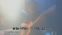 ZARD - Promised You