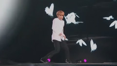 JIMIN(防弹少年团) - Butterfly (朴智旻Solo)