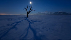 音乐短片 - Nocturne