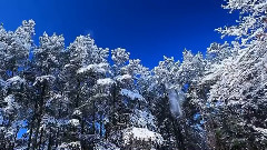 音乐短片 - 爱尔兰