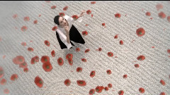 音乐短片 - Flower By Kenzo