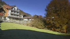 音乐短片 - 二月里来 古筝独奏