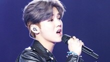 群星 - 2016浙江卫视跨年盛典