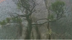 音乐短片 - 爱情要战斗