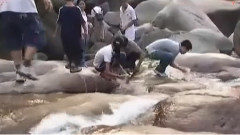 音乐短片 - 乞讨爱情