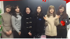吴夏荣(Apink),孙娜恩(Apink),尹普美(Apink),朴初珑(Apink),Apink - Arirang Simply K-Pop圣诞节祝福影像