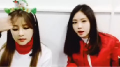 尹普美(Apink),朴初珑(Apink),金南珠(Apink),吴夏荣(Apink),Apink - V APP Live Channel Pink Memory Day